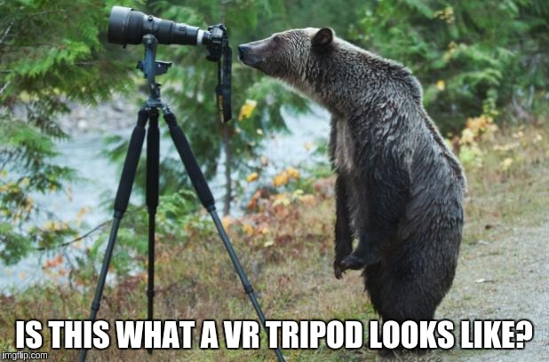 virtual sex cams: bear watching through a cam on a tripod